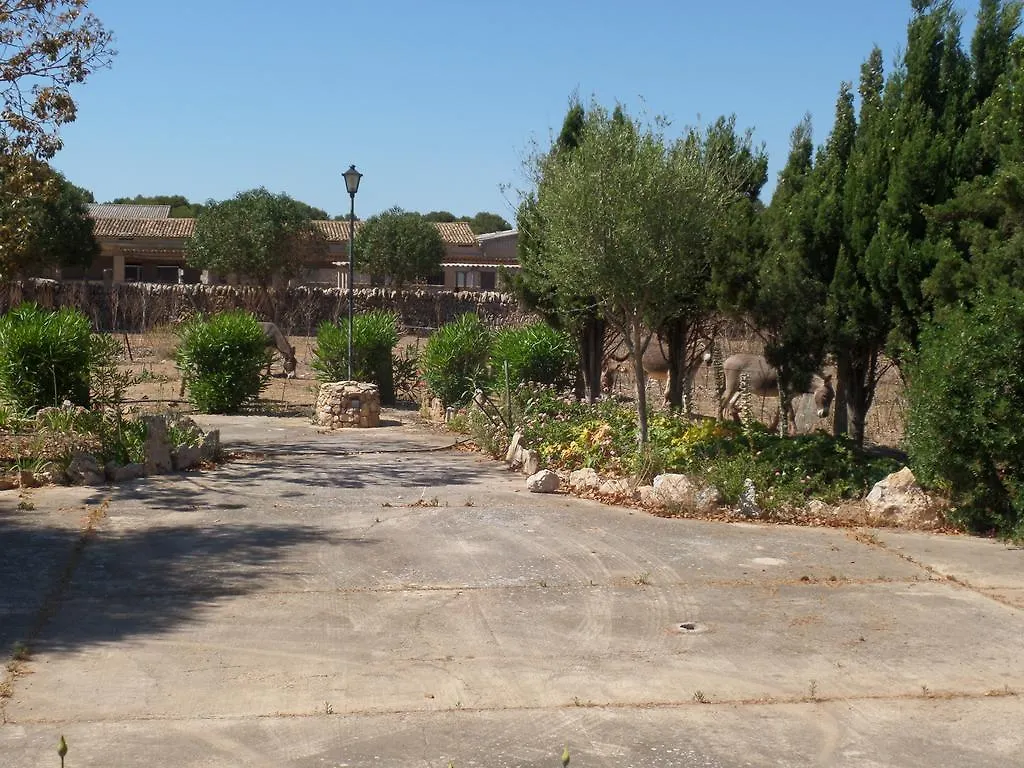 Sa Bassa Crua Agroturismo Sa Torre Farm stay